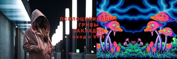 ALPHA-PVP Новозыбков
