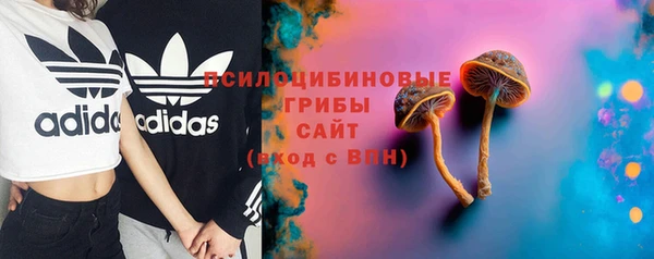 каннабис Новодвинск
