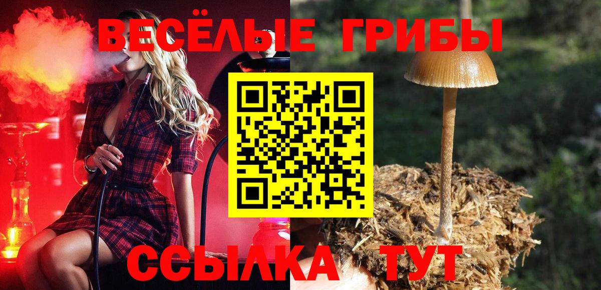 Галлюциногенные грибы GOLDEN TEACHER  Вход с VPN  Котельники 