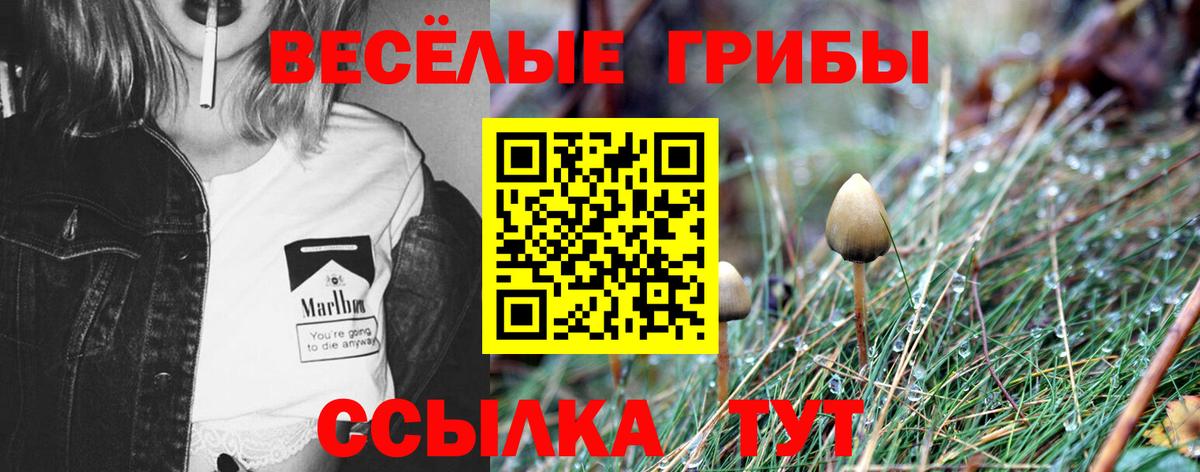 А ПВП  Амфетамин  Кокаин  Вход с VPN  Котельники  Меф  Масло THC  Кокаин  ГАШ  Гарик  Каннабис  Мефедрон 